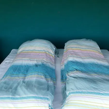 Sweet Dreams Проживание в семье